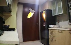 Leicester Lodge (D13), Apartment #577203461